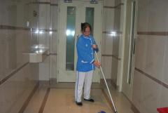 萍園家政服務 上海專業(yè)保潔服務的不二之選